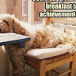 Meet your Posher, Monika